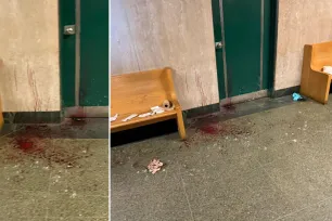 newsloves.com In a gang fight at Manhattan Criminal Court, two people were slashed